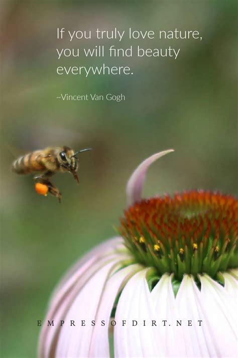 Love Nature 的图像结果