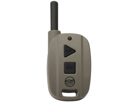 AMBIL SEKARANG