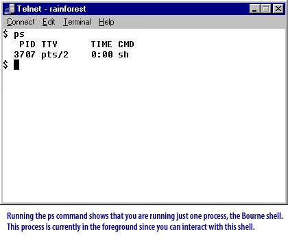 Parent Process 的图像结果