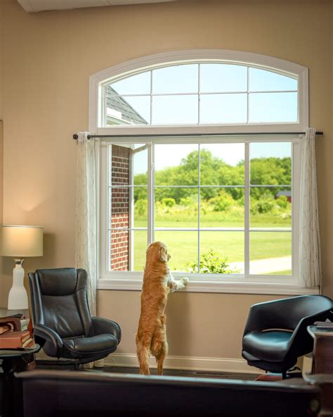 Image result for Spring Loaded Vinyl Windows