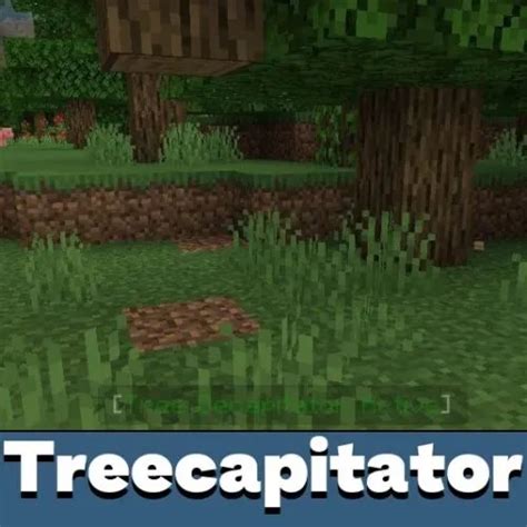 Image result for TreeCapitator 1.18.2