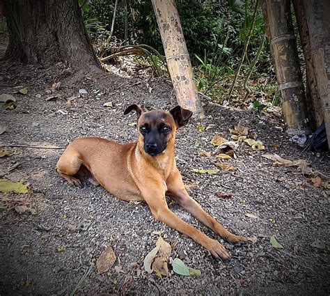 Eco Hotel Amanecer Tayrona - UPDATED Prices, Reviews & Photos