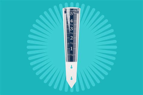 The 7 Best Rain Gauges