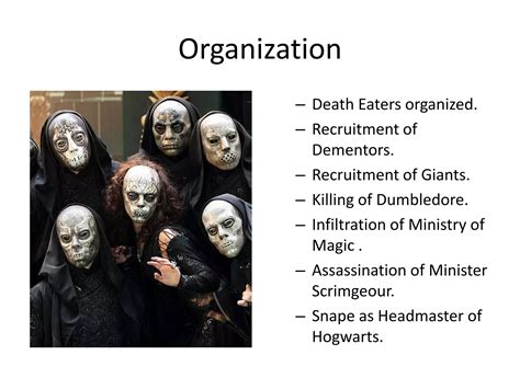 Harry Potter: Stages of Genocide | PPTX