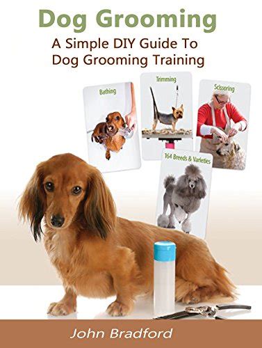 Dog Grooming Guide: A Simple DIY Guide to Dog Grooming Training (dog ...
