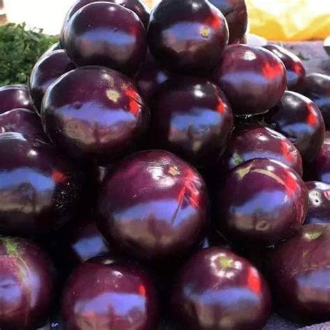 CYBEXIS Brinjal Deep Purple Epidermis Shiny Circular Shape Eggplant ...