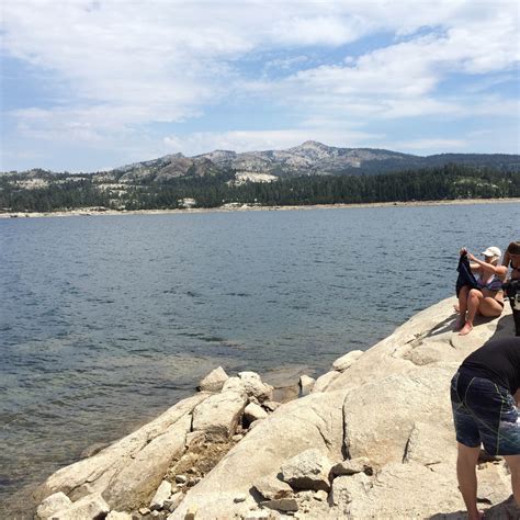 Gerle Creek Camping | The Dyrt