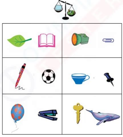 Weight Comparison: A Kindergarten Measurement Worksheet – Olympiad tester