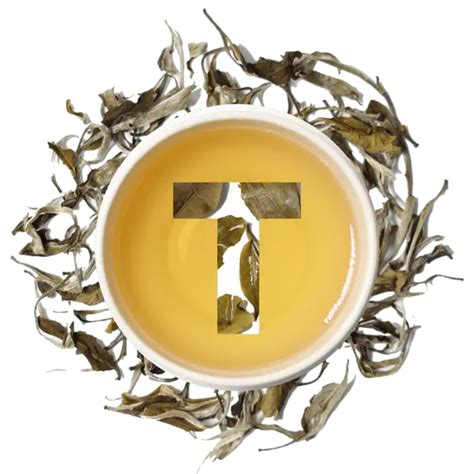 Wonder White Tea | Okayti Tea