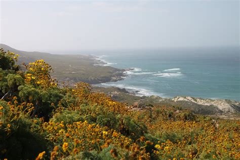 San Nicolas Island — Channel Islands Restoration