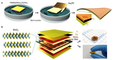 Monolayer MoS2-Based Flexible and Highly Sensitive Pressure Sensor with ...