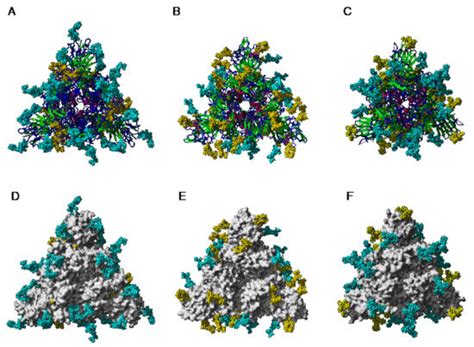 Man-Specific Lectins from Plants, Fungi, Algae and Cyanobacteria, as ...