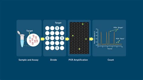 qPCR Method 的图像结果