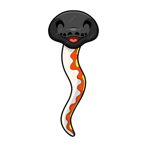 Image result for Red Python Pic