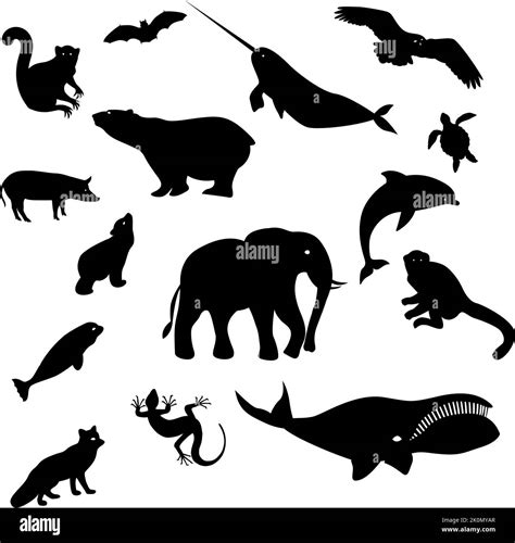 Black silhouettes of wild animals and birds. Elephant, bear, whale ...