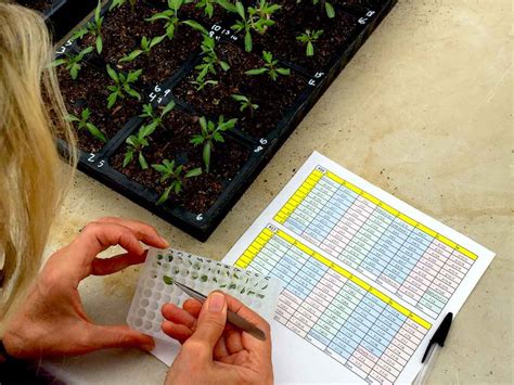 Image result for Laboratory Automation Examples