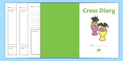 Growing Cress Diary Writing Frame (teacher made) - Twinkl