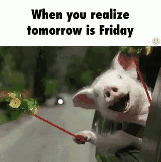 Happy Thursday Funny GIFs | GIFDB.com
