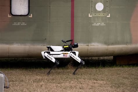 Small Business Consulting Corporation 的图像结果