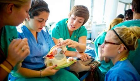 Current Students - School of Public Health and Health Professions ...