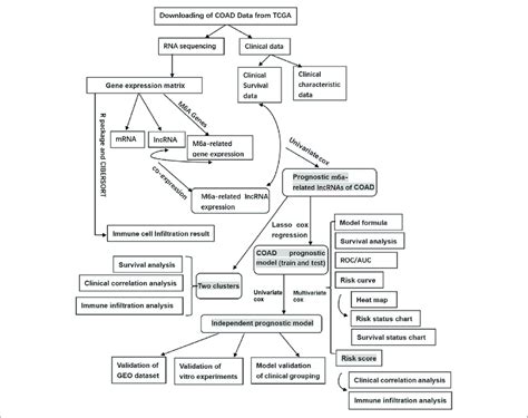 Image result for Calculus Integration Flow Chart