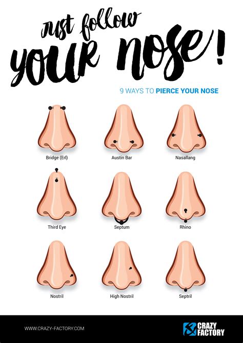 Piercing Infographic - Nose | Nose piercing, Nose piercing pain, Face ...