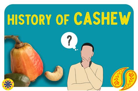 History of Cashew: Origin From Brazil to India to Modern-Day Snacks ...