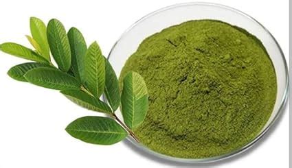Buy Guava Leaf Powder/Amrud ke patte ka powder/Guava powder/150g pack ...