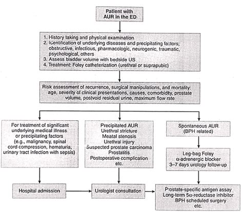 Prostate Neoplasms - Medical Science Optional Notes for UPSC PDF Download
