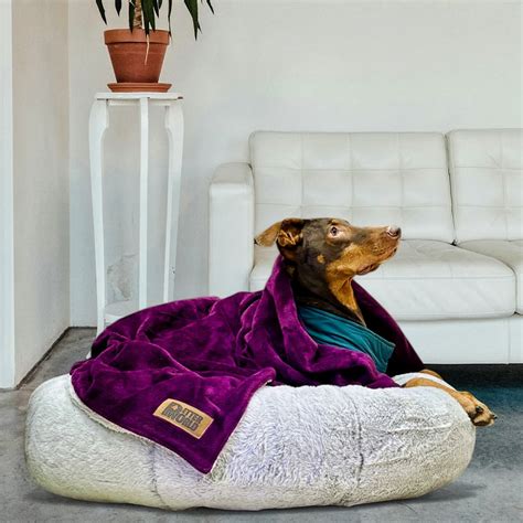 Anti Anxiety Calming Beds for Dogs & Cats – Petter World