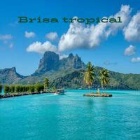 Arena tibia MP3 Song Download | Brisa tropical @ WynkMusic