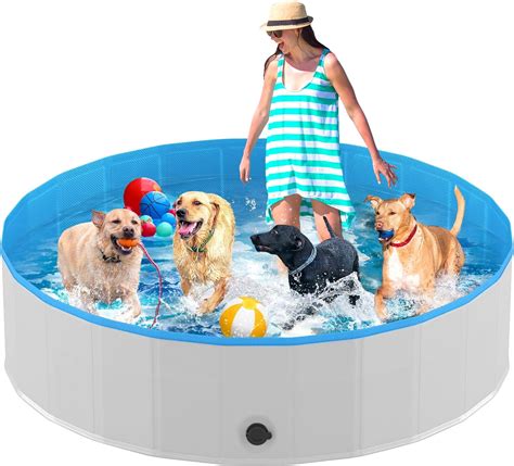 Folding Dog Pool