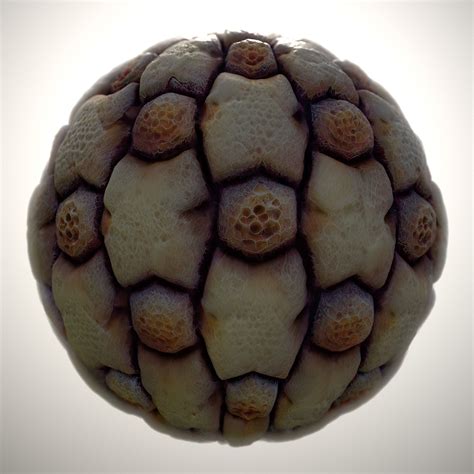 Alien Building Texture 的图像结果