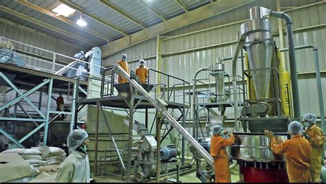 Image result for Seed Processing