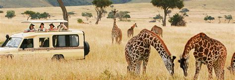 Destinations | Amazing Vacations
