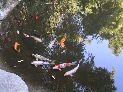 The Best Hotel Deals in Huntington Park (Feb 2026) - Tripadvisor