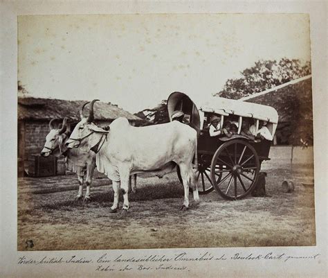 Indian Bullock Cart with Passengers - Old Indian Photos