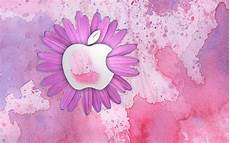 Girly Wallpaper For Laptop by Girly Wallpapers For Laptop 64 Images Girly Wallpaper For Laptop