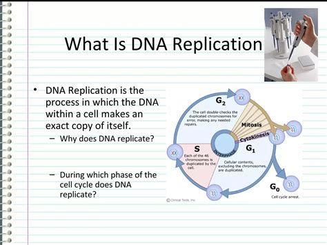 Image result for DNA Replication Simplified