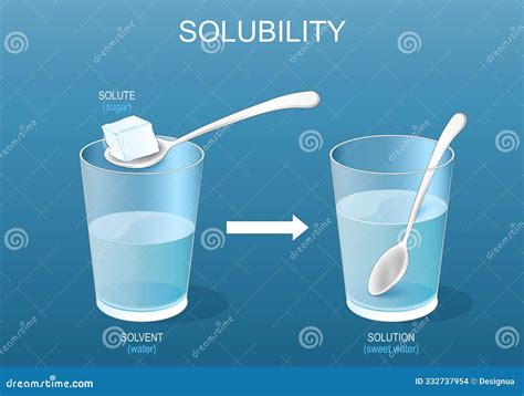 Solubility Process 的图像结果