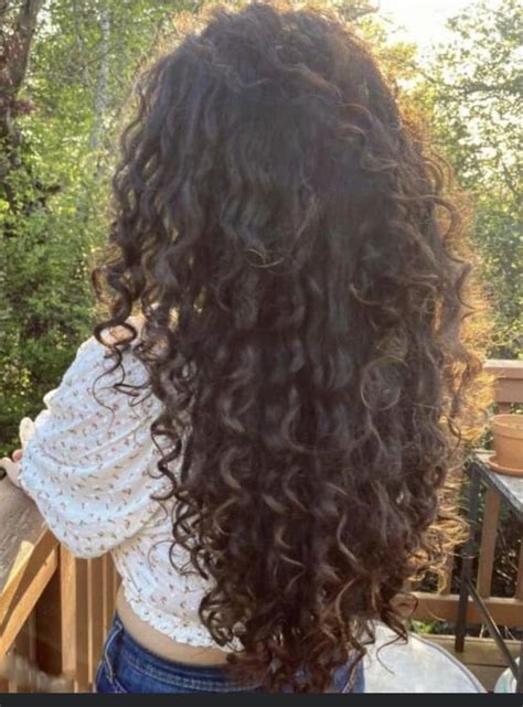 Long Layered Curly Hair, Brown Curly Hair, Curly Hair Layers, Curly ...
