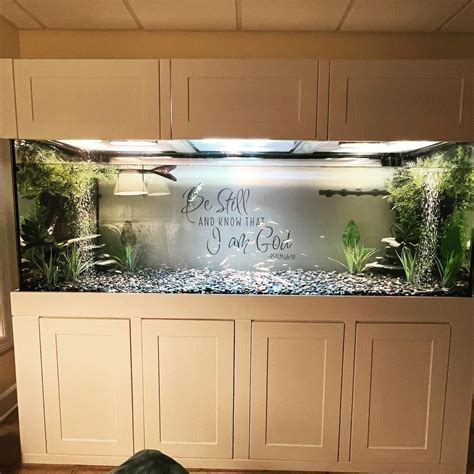 Image result for Turtle Habitat Setup