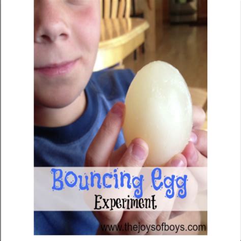 Easy Simple Science Experiments 的图像结果