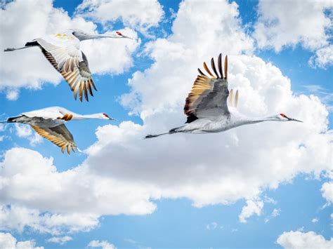 Mathematics and the paranormal | Meer