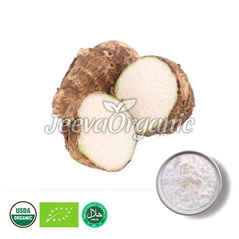 Image result for Arrowroot Powder Microscopic View