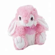 Image result for stuffed easter bunnies personalized