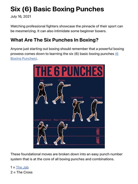 Basic Boxing Punches 的图像结果