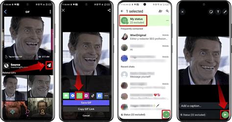 Wie man GIFs in WhatsApp-Statusmeldungen einfügt