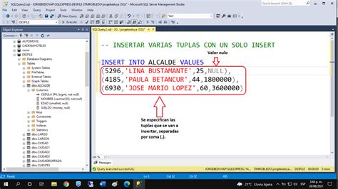 Image result for Insertar Datos En Oracle