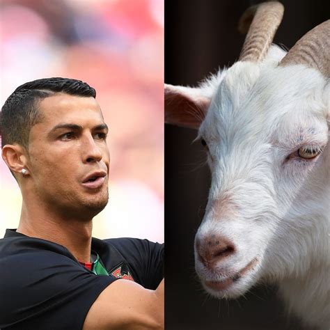 What Is A GOAT In Football? Lionel Messi Vs Cristiano, 43% OFF